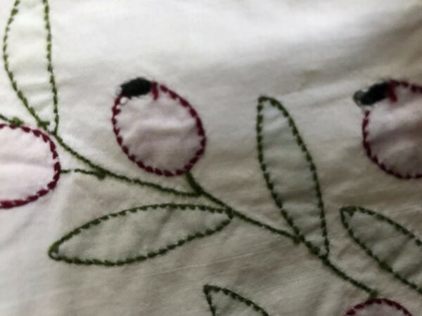 Nappe cynorhodon – Image 3