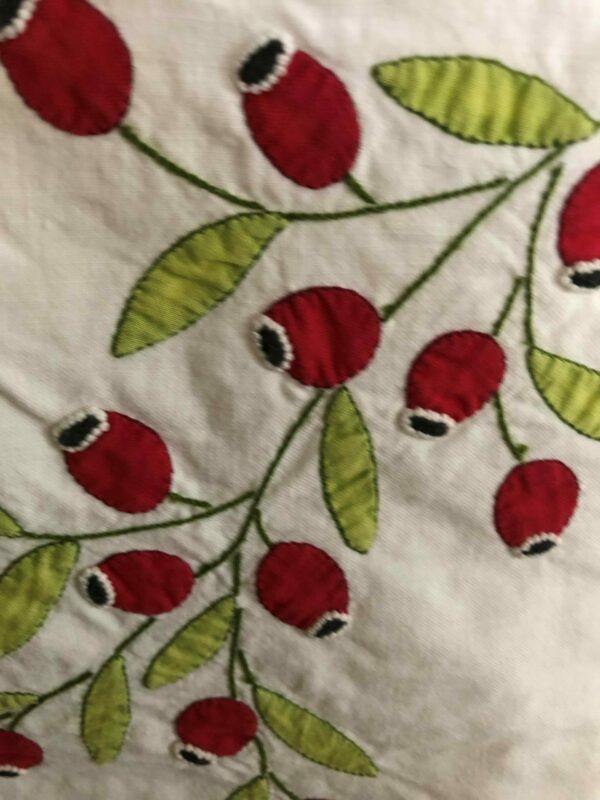 Nappe cynorhodon – Image 2
