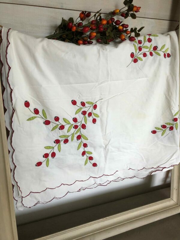 Nappe cynorhodon