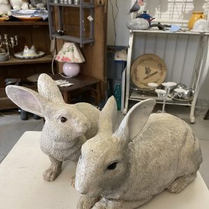 Couple de lapins
