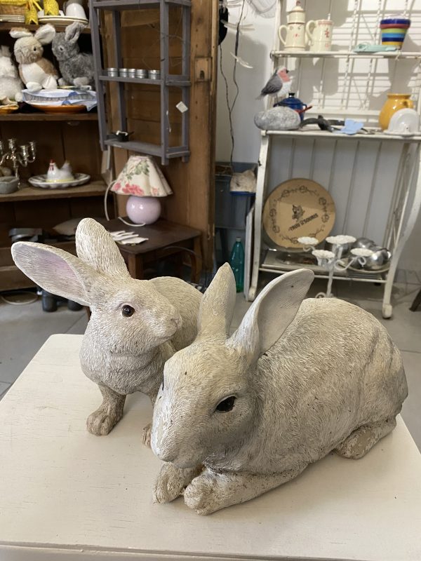 Couple de lapins
