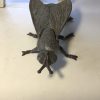 Mouche cendrier – Image 2