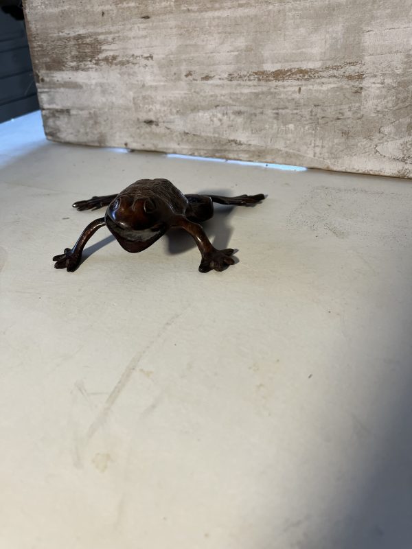 Grenouille laiton – Image 2