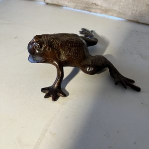 Grenouille laiton