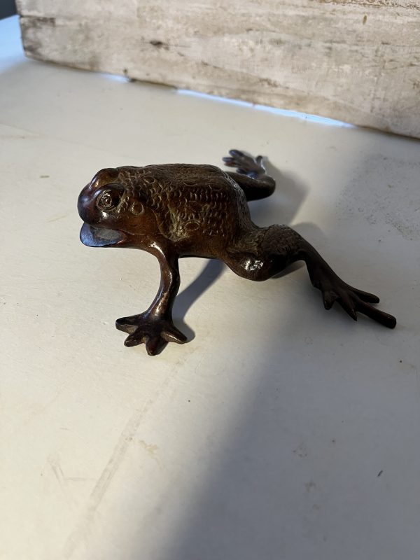 Grenouille laiton