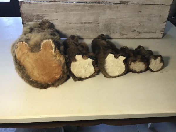 Marmottes – Image 3