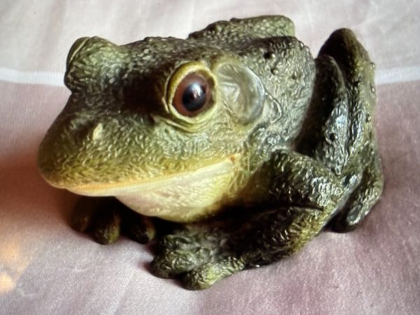 Grenouille en résine – Image 3
