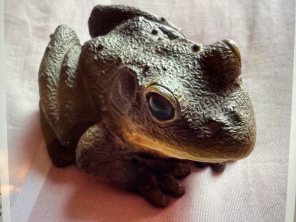 Grenouille en résine – Image 4
