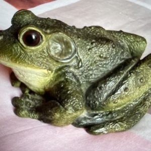 Grenouille en résine