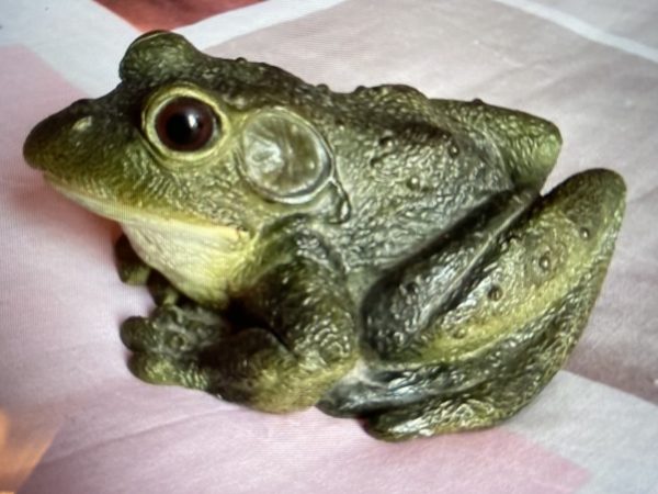 Grenouille en résine